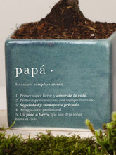 Matera Verde Papá con Bonsai